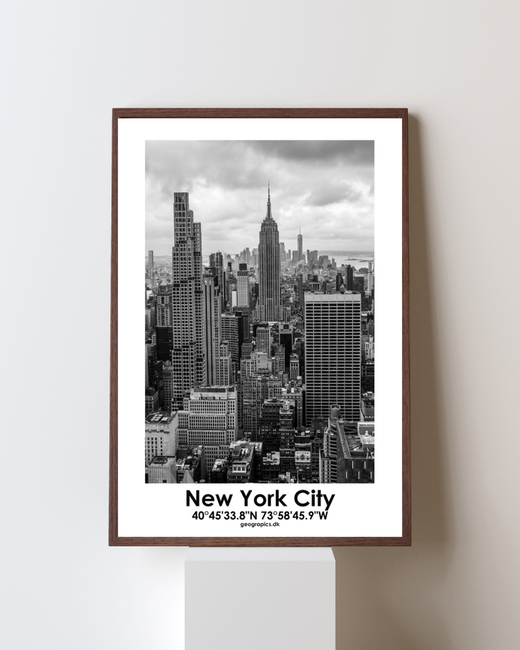 New York / Skyline 1 / Dansk
